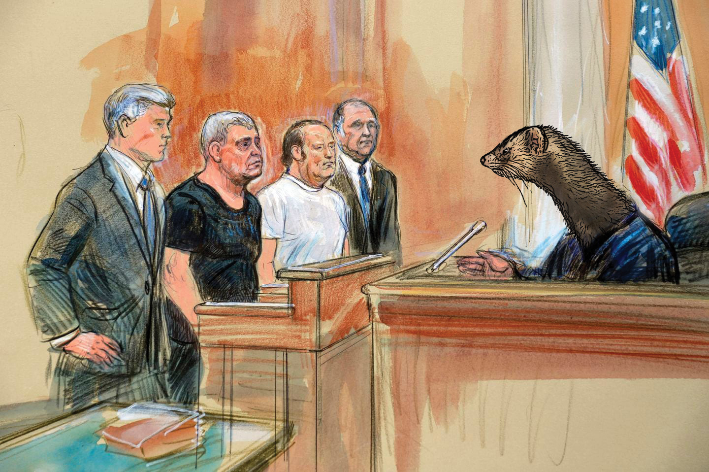 Ferret Judge Scolds Defendent